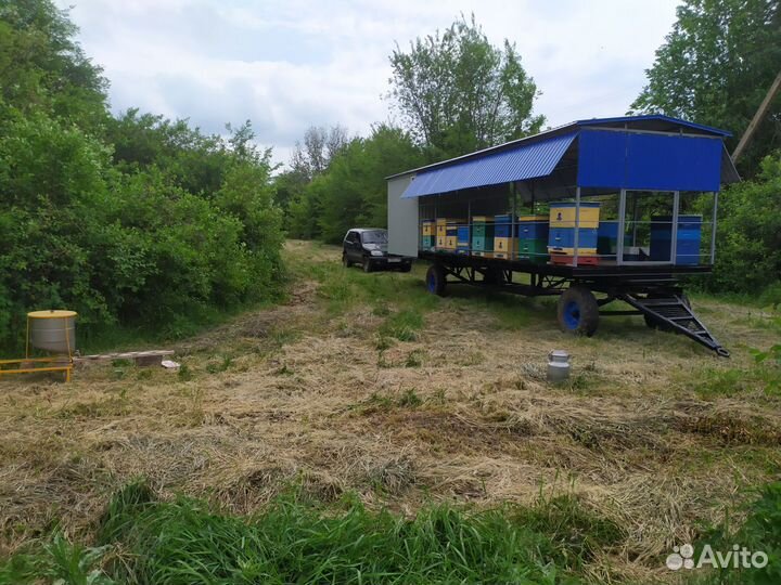 Пчелоприцеп