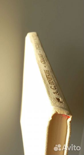 Сказки Руслан и Людмила А.С. Пушкин