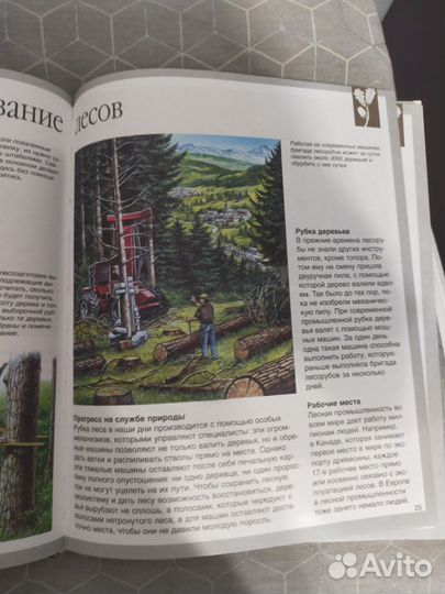 Энциклопедия