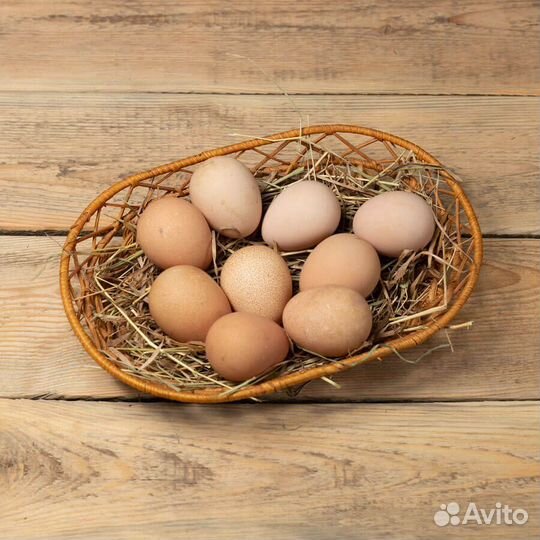 Цесариное яйцо