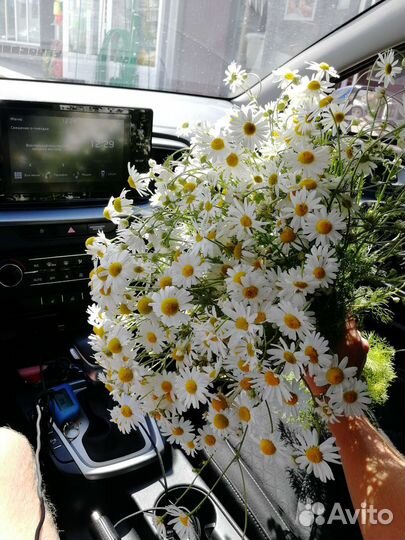 Цветы букеты с доставкой