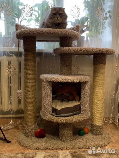 Когтеточка, домик кошке, котенка, лежанка