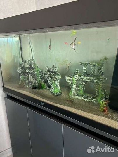 Обслуживание и чистка аквариума