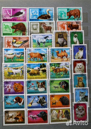 Продам коллекцию марок фауна