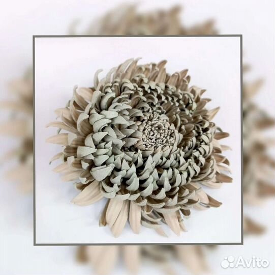 Бульки для изготовления цветов