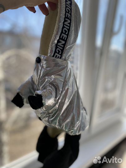 Одежда для животных