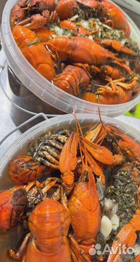 Речные раки юао