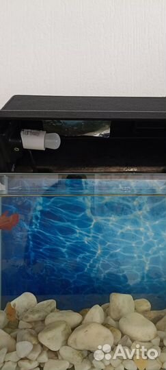 Аквариум с рыбками