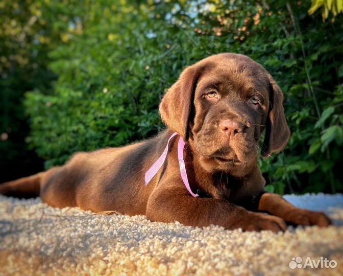 Шикарные девочка и мальчик