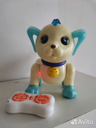 Интерактивная собака