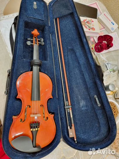 Скрипка в футляре 1/2