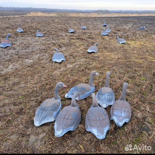 Чучела гусей для охоты