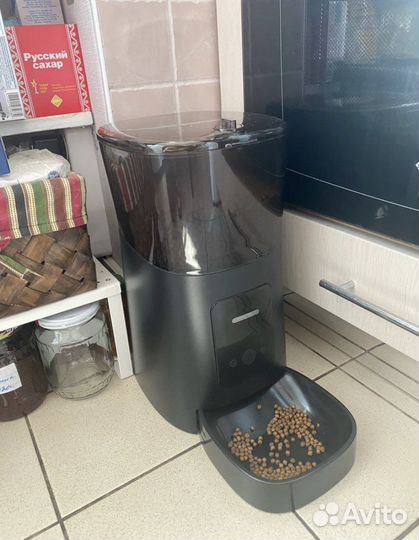 Автоматическая кормушка для кошек