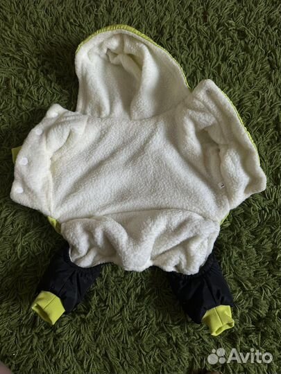 Одежда для собак мелких пород