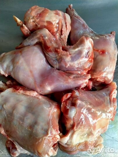 Мясо для собак