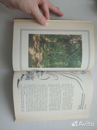 Растительный мир нашей Родины. В. В. Петров