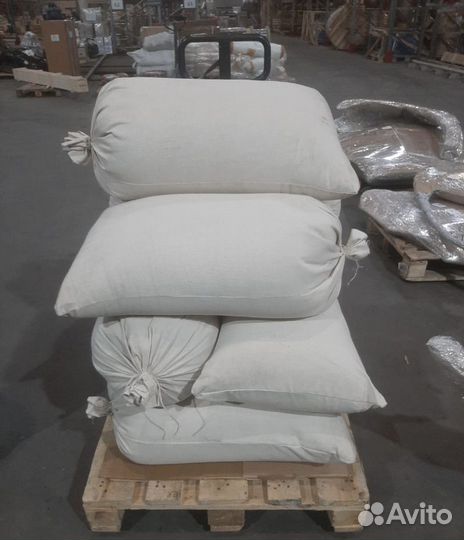 Семена ели обыкновенной