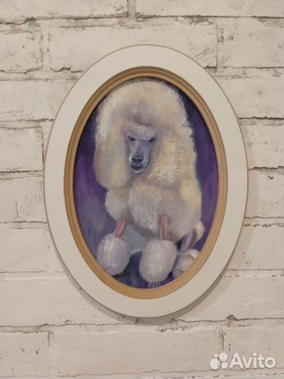 Картина маслом на холсте собака пудель 40*30