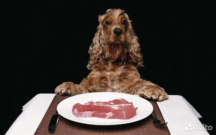 Мясо говядина для собак