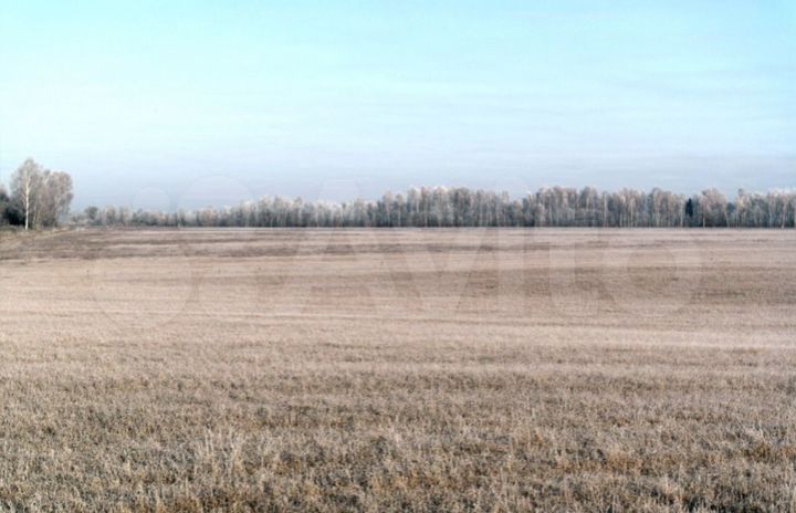 Участок 115,9 га (СНТ, ДНП)