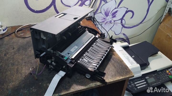 Техника HP, Samsung, Xerox, Kyocera в разборе: