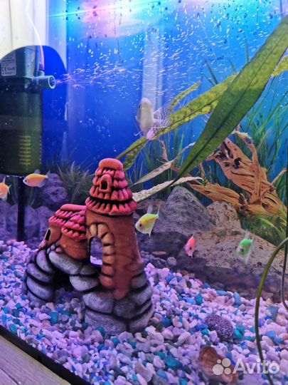 Аквариум
