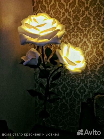 Роза ростовой цветок-светится