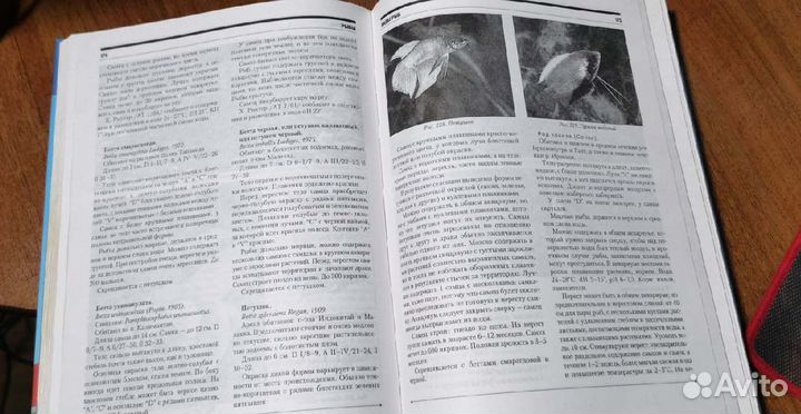 Мир аквариума большая иллюстрированная энциклопеди