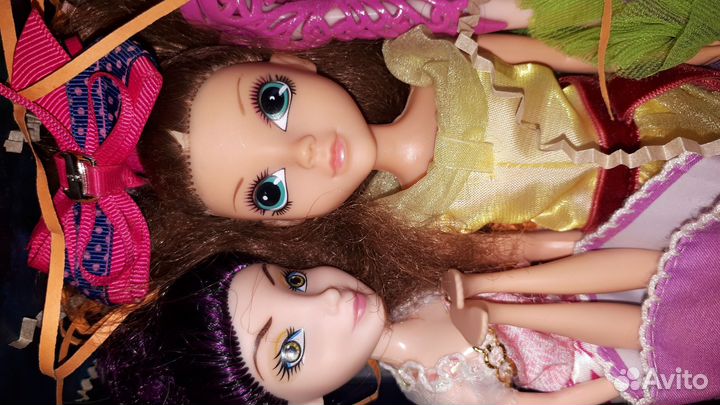 Бокс кукол 12 штук