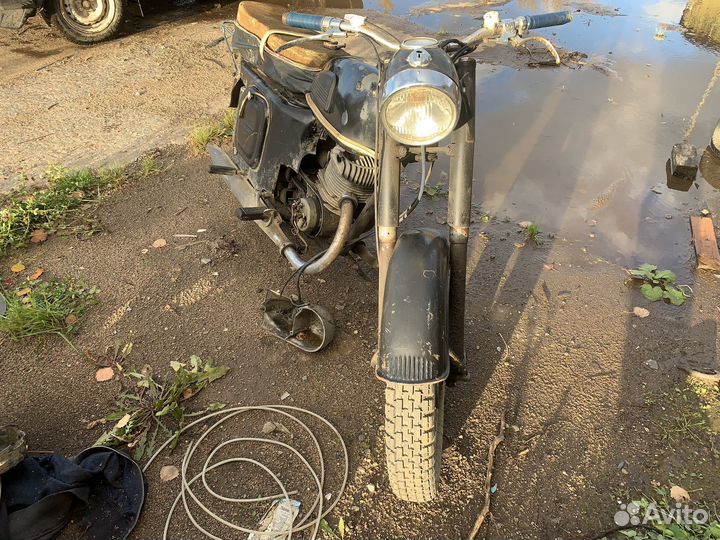 Восход ковровец