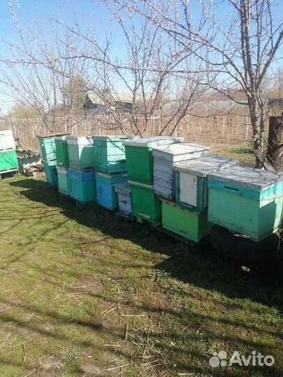 Ульи для пчел бу