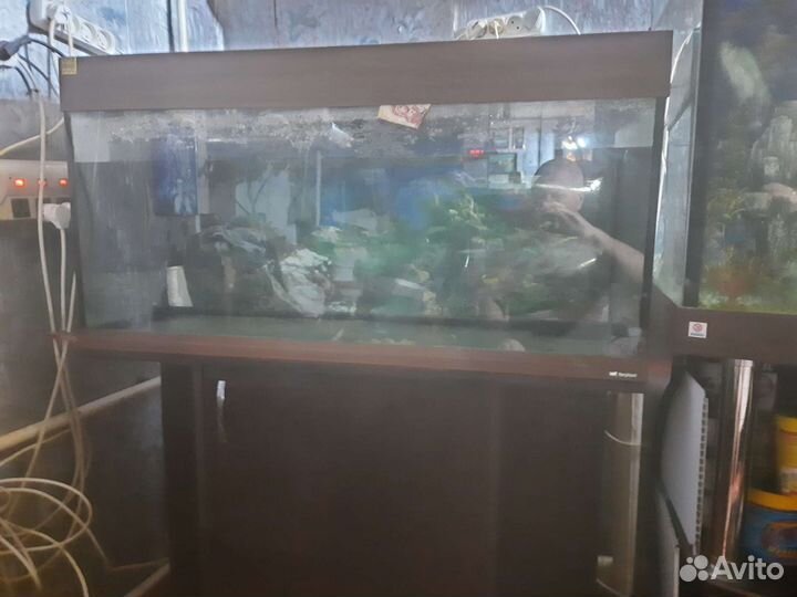 Аквариум