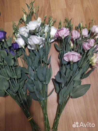 Букет срезка эустомы