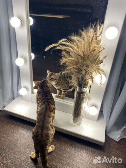 Гримерное зеркало