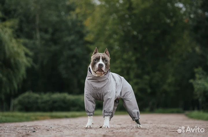 Дождевик комбинезон для собак