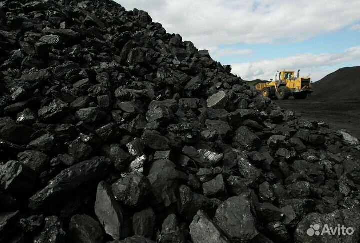 Купить уголь доставка тараканом