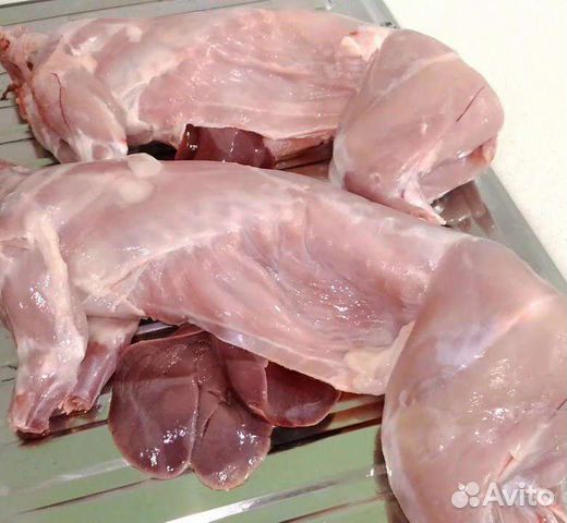 Продам мясо кролика