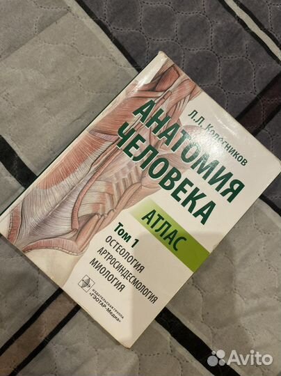 Атлас анатомии человека Л.Л. Колесников