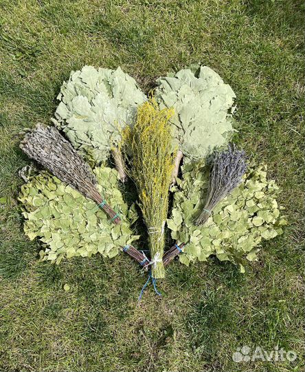 Веники для бани (наборы )