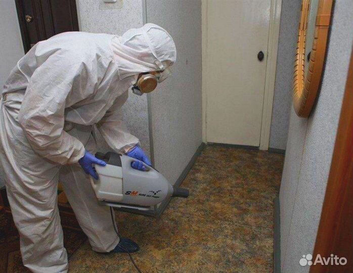 Уничтожение тараканов клопов клещей комаров