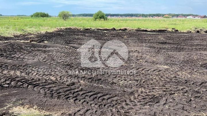 Участок 12 сот. (СНТ, ДНП)