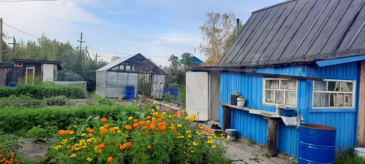 Дача 20 м² на участке 12 сот.