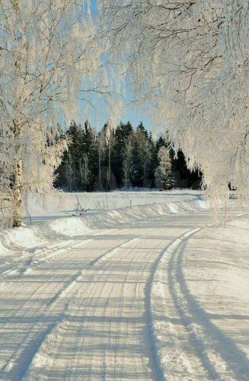 Участок 10 сот. (СНТ, ДНП)