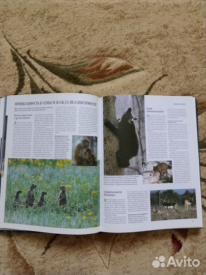 Книга о природе