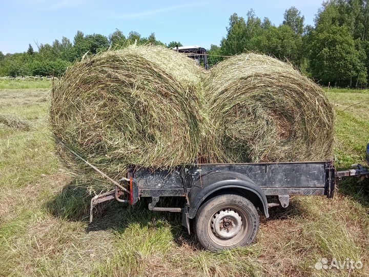 Сено в рулонах