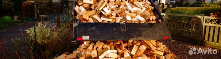 Дрова Береза