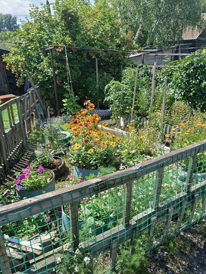 Дом 40 м² на участке 3 сот.