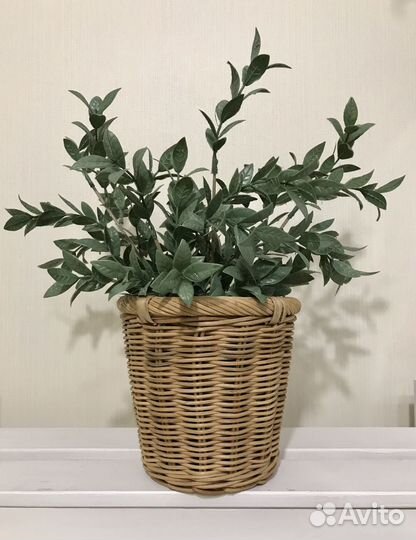 Цветы Кашпо