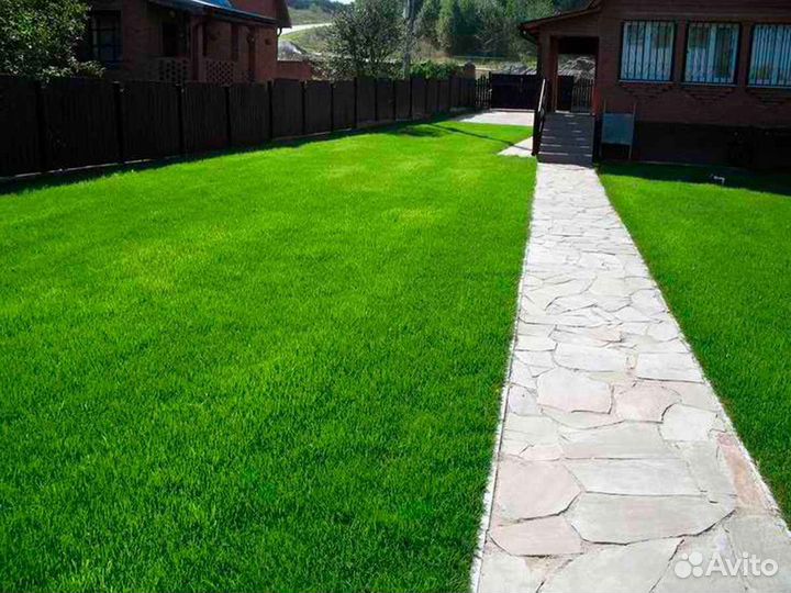 Укладка и продажа газона