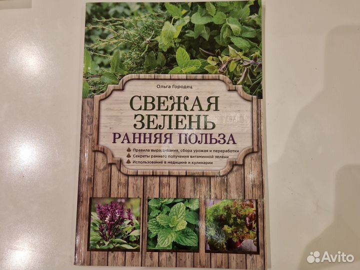 Свежая зелень: ранняя польза. Ольга Городец